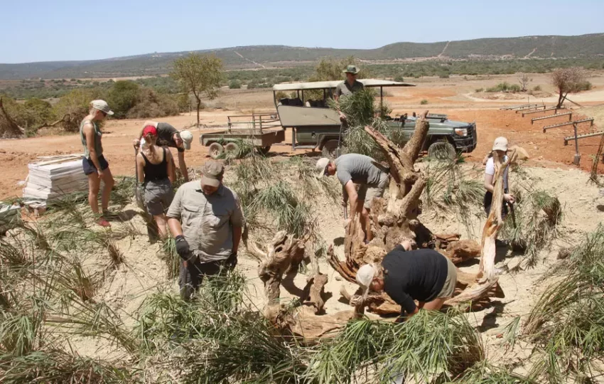 sejour-participatif-ecovolontaire-nature-protection-animaux