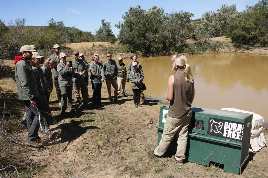 sejour-travail-aupres-animaux-reintroduction-afrique-sud